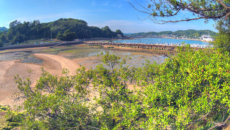 観音堂から浦崎海岸 観音堂から浦崎海岸