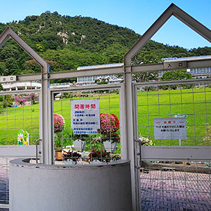 因島フラワーセンターです
