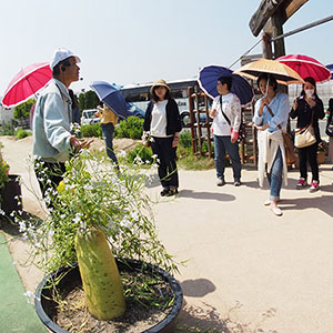 万田酵素の工場見学コースは年中無休で無料です 万田酵素の工場見学コースは年中無休で無料です