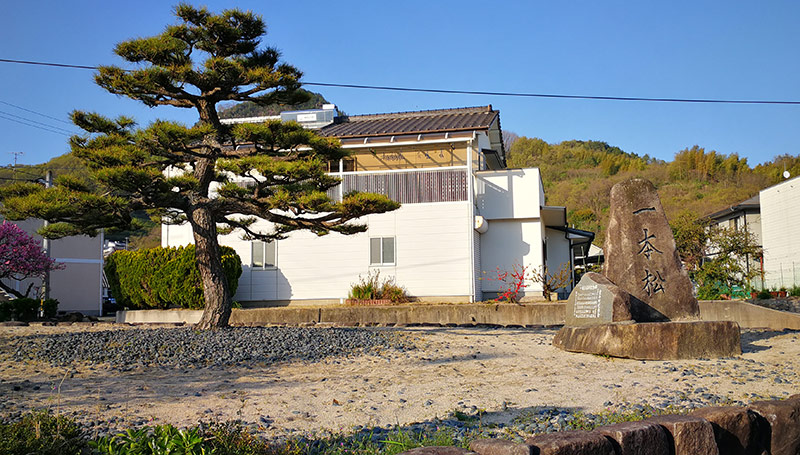 重井の一本松を目印にアクセスして下さい。菓子処中島は一本松の隣にあります 重井の一本松を目印にアクセスして下さい。菓子処中島は一本松の隣にあります