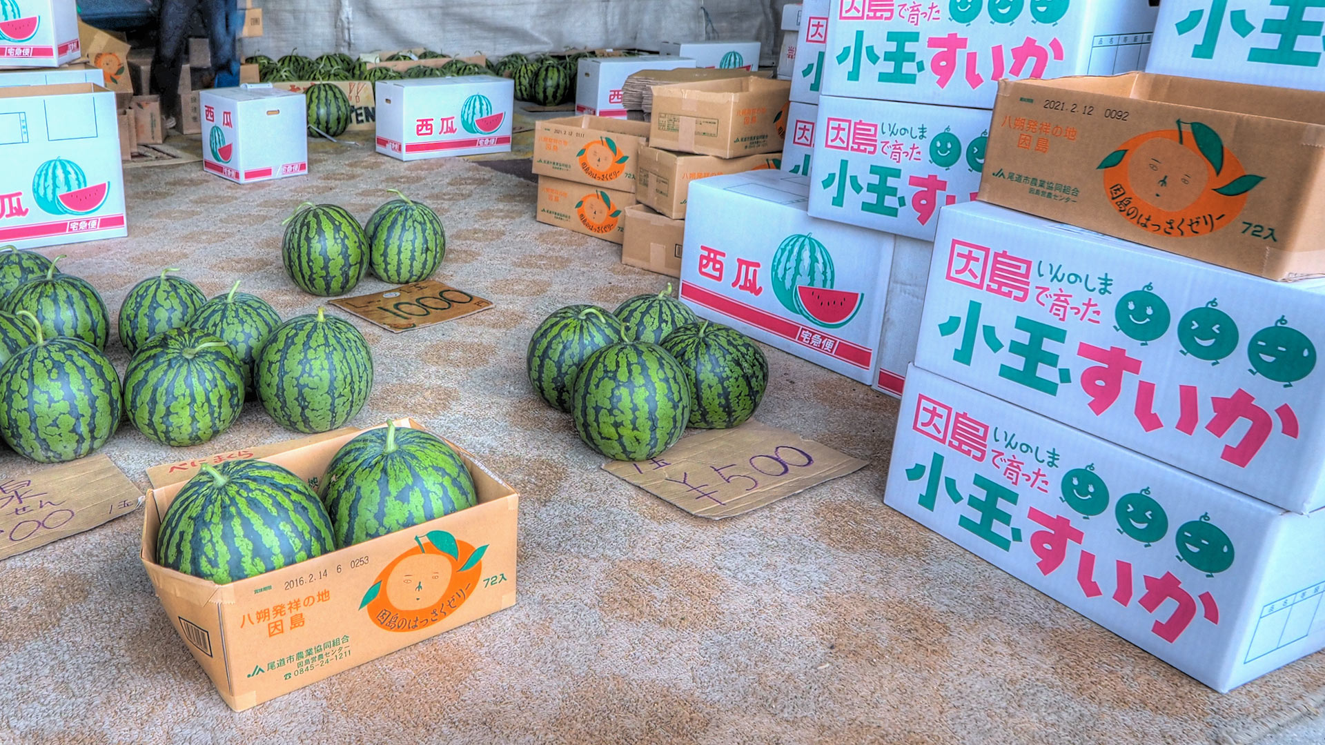 スイカ直売所 正賀屋(しょうがや) Watermelon Farm Shop スイカ直売所 正賀屋(しょうがや) Watermelon Farm Shop