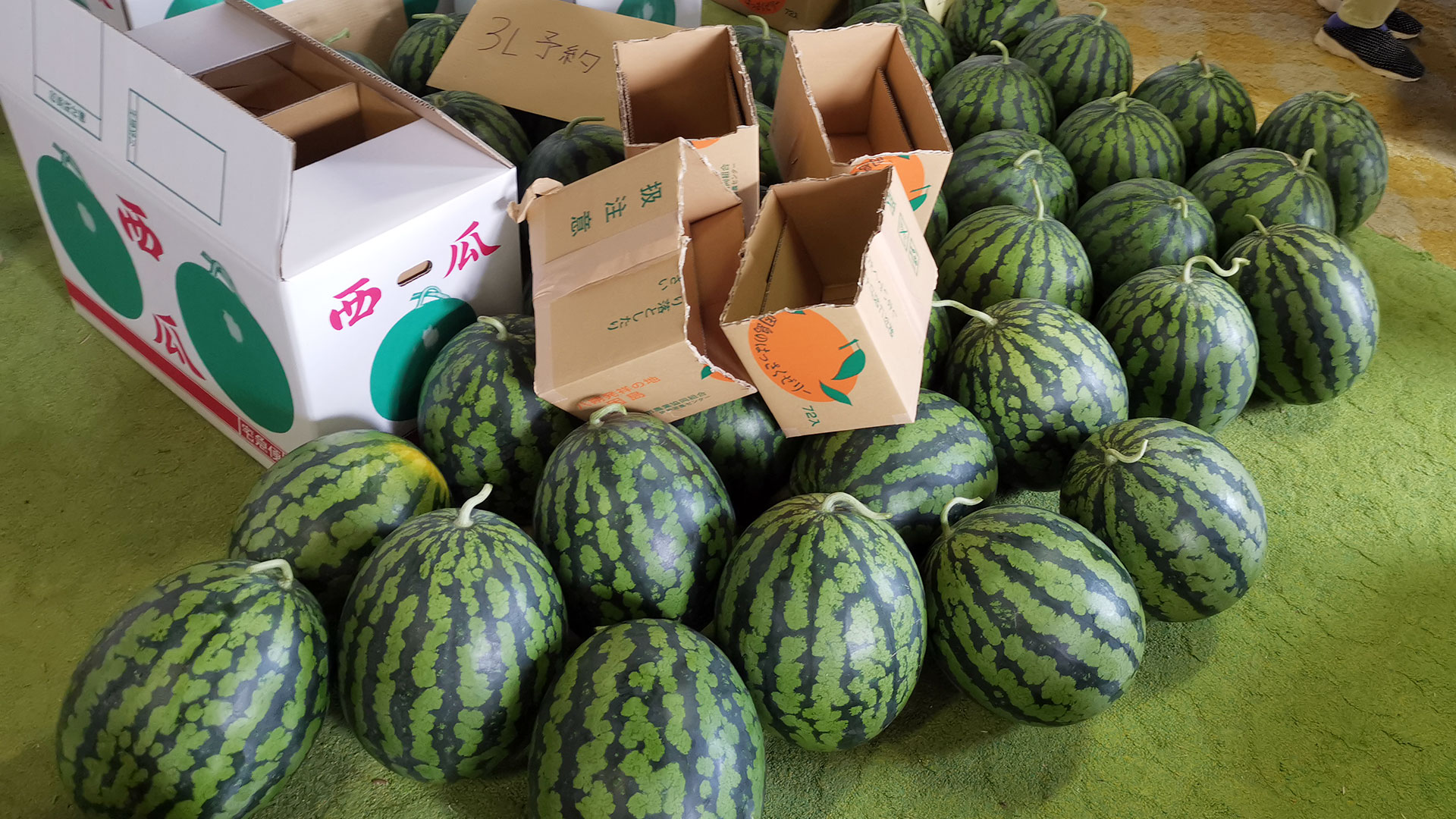 スイカ直売所　正賀屋（しょうがや） Watermelon Farm Shop 