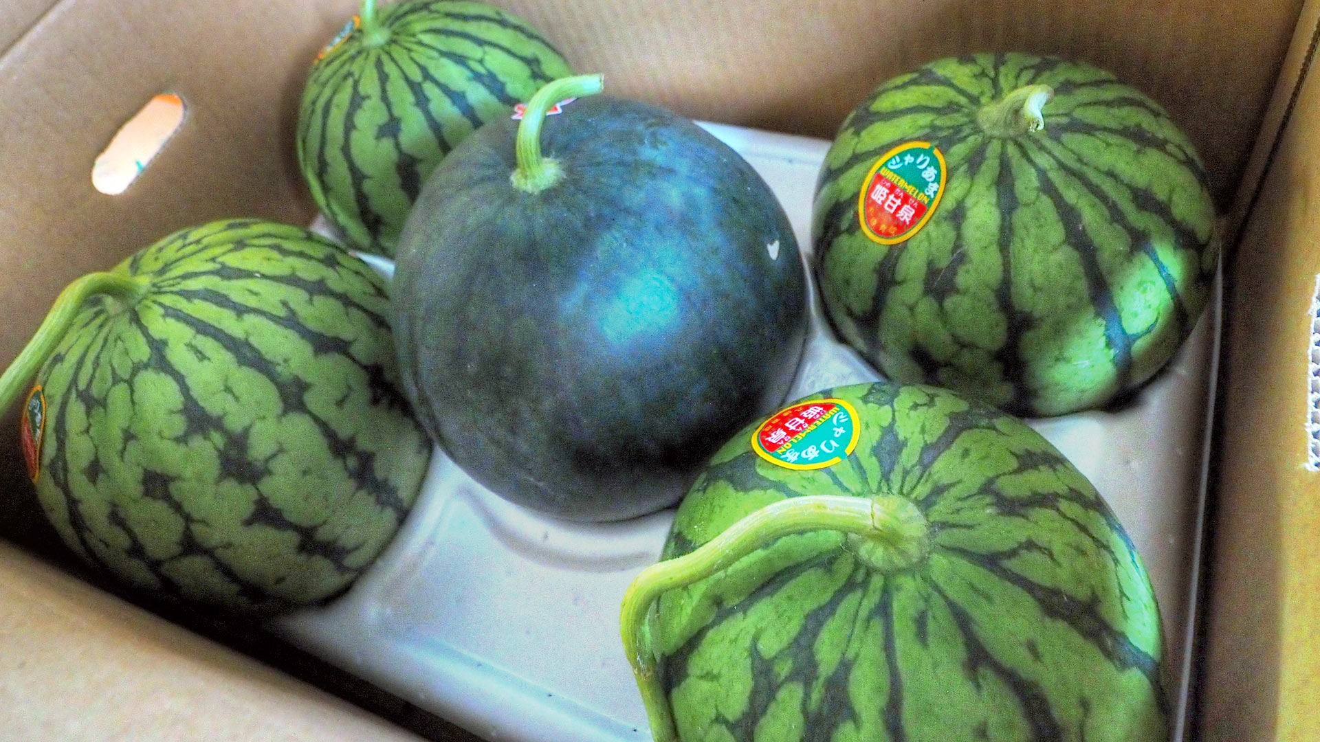スイカ直売所 正賀屋(しょうがや) Watermelon Farm Shop スイカ直売所 正賀屋(しょうがや) Watermelon Farm Shop