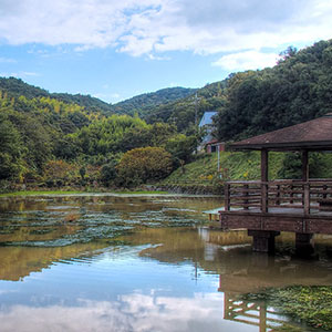 深坂池（ふかさこいけ） 愛媛県越智郡上島町弓削