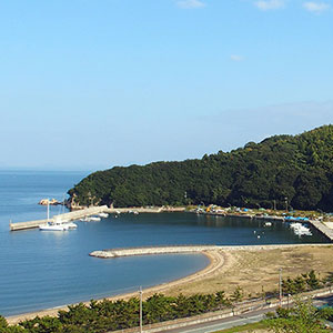 日比海岸（ひびかいがん）　愛媛県越智郡上島町弓削日比