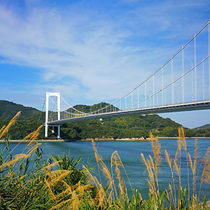 伯方・大島大橋
